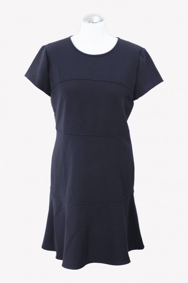 Michael Kors Skaterkleid in Blau aus Polyester Alle Jahreszeiten.1